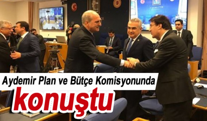 Aydemir Plan ve Bte Komisyonunda konutu